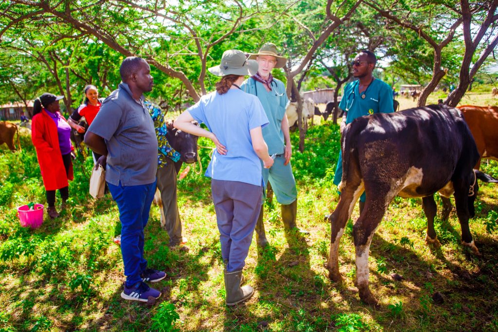 Top Photography & Videography services in Nairobi, Burundi – Oramedia – THE BIG PICTURE